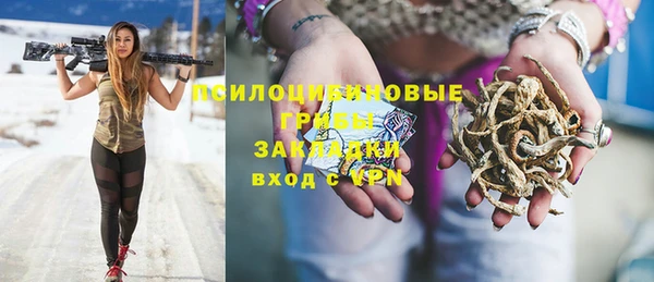 прущие грибы Наволоки